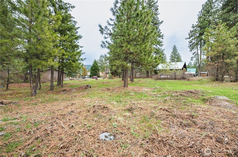 Property photo for 0 Alpensee Strasse, Leavenworth photo 12
