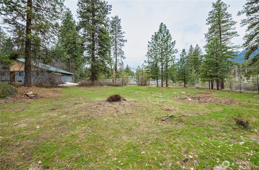 Property photo for 0 Alpensee Strasse, Leavenworth photo 5