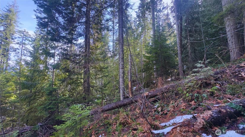 Property photo for 15839 Cedar Brae Road, Leavenworth photo 6