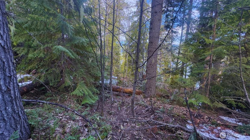 Property photo for 15839 Cedar Brae Road, Leavenworth photo 7