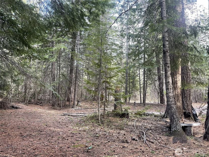 Property photo for 0 W Shugart Flats Rd, Leavenworth photo 16
