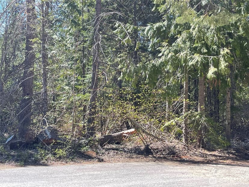Property photo for 0 W Shugart Flats Rd, Leavenworth photo 25