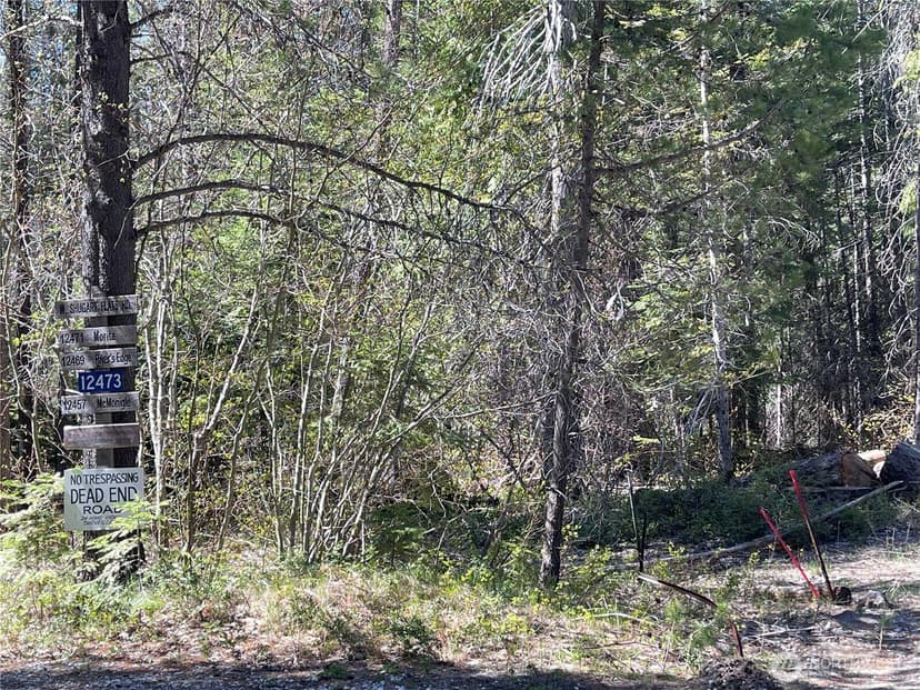 Property photo for 0 W Shugart Flats Rd, Leavenworth photo 24