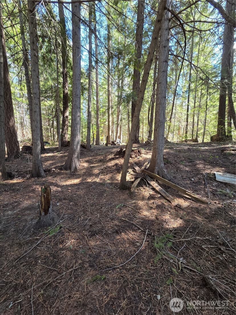 Property photo for 0 W Shugart Flats Rd, Leavenworth photo 19