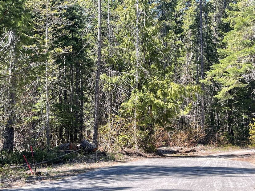 Property photo for 0 W Shugart Flats Rd, Leavenworth photo 22