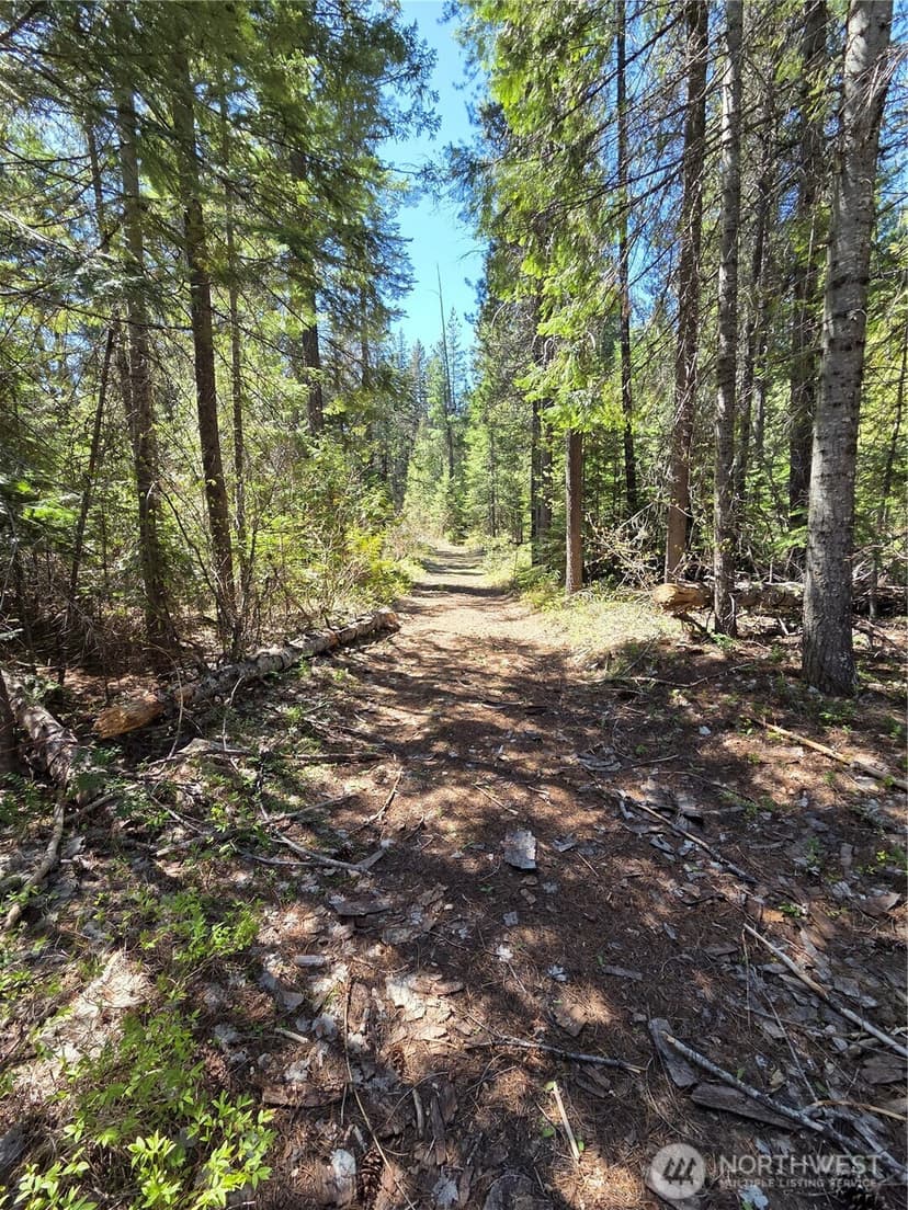 Property photo for 0 W Shugart Flats Rd, Leavenworth photo 20