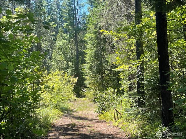 Property photo for 0 W Shugart Flats Rd, Leavenworth photo 4