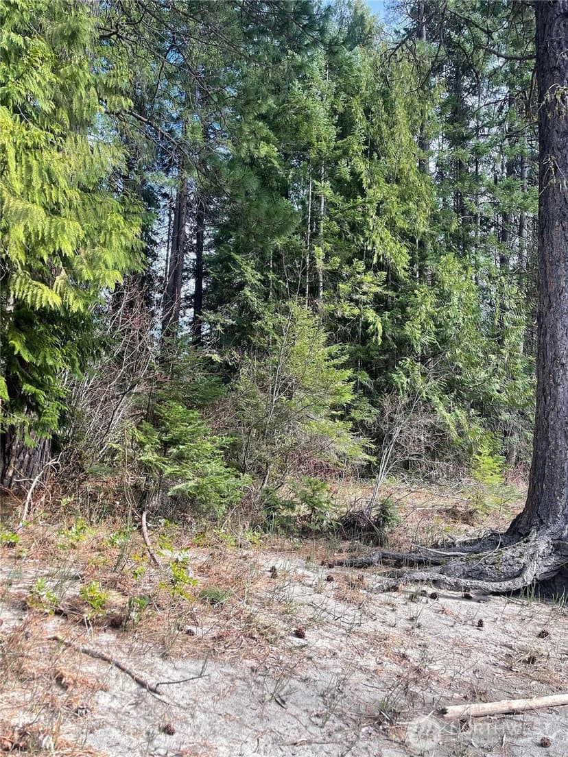 Property photo for 0 W Shugart Flats Rd, Leavenworth photo 23