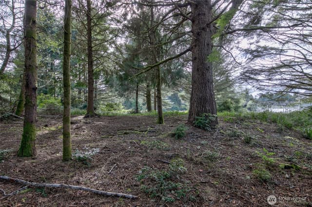 Property photo for 189 Duck Lake Drive NE, Ocean Shores photo 5