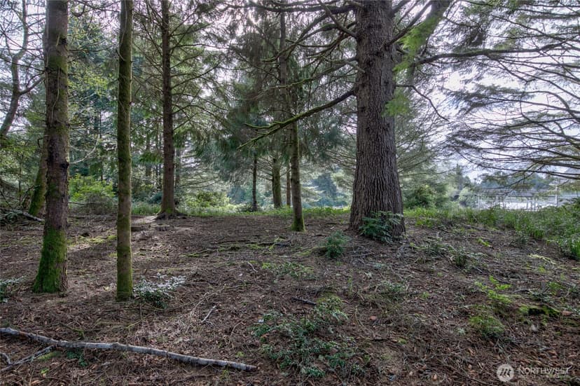 Property photo for 189 Duck Lake Drive NE, Ocean Shores photo 5