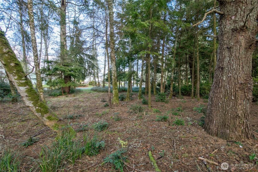Property photo for 189 Duck Lake Drive NE, Ocean Shores photo 10
