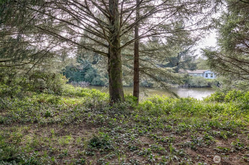 Property photo for 189 Duck Lake Drive NE, Ocean Shores photo 6