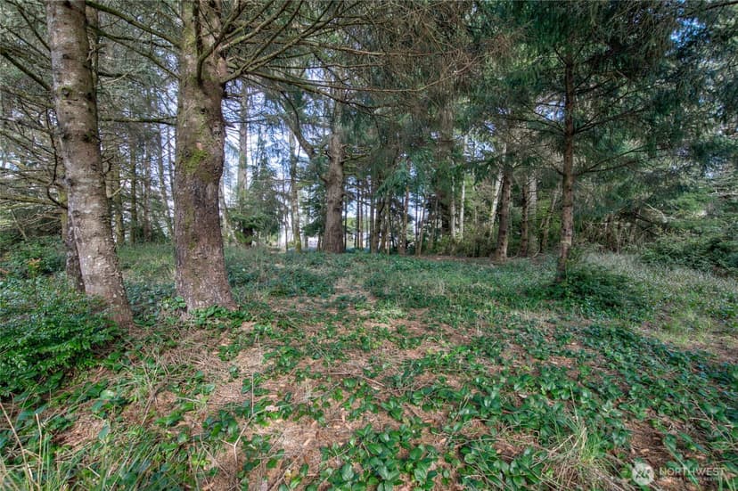 Property photo for 189 Duck Lake Drive NE, Ocean Shores photo 8