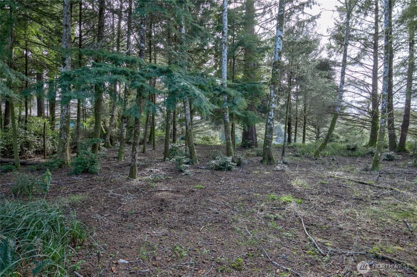 Property photo for 189 Duck Lake Drive NE, Ocean Shores photo 4