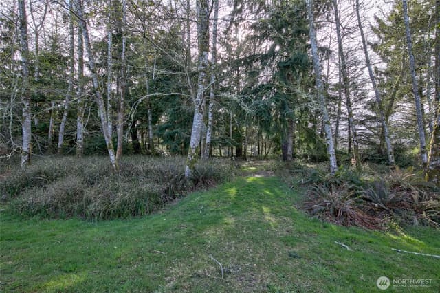 Property photo for 189 Duck Lake Drive NE, Ocean Shores photo 3