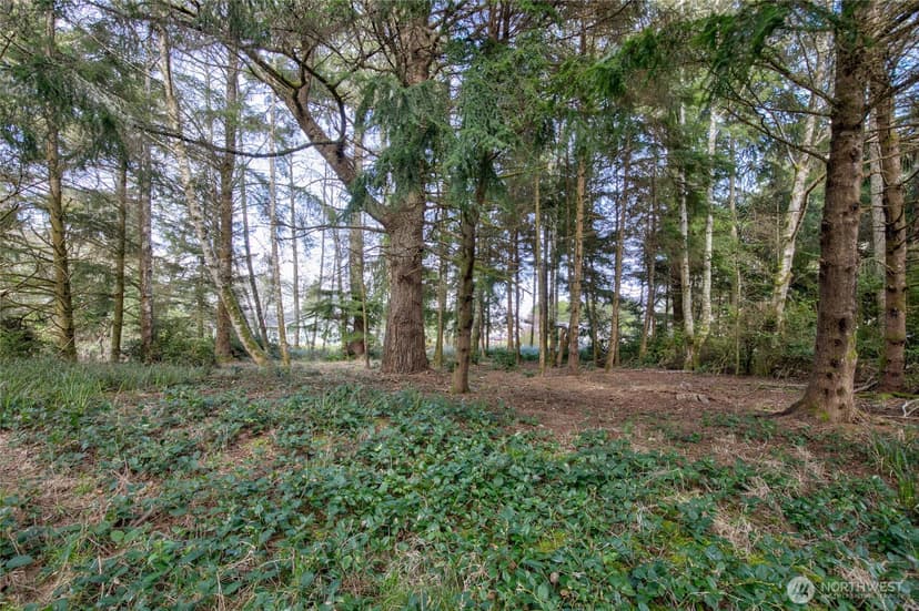 Property photo for 189 Duck Lake Drive NE, Ocean Shores photo 9