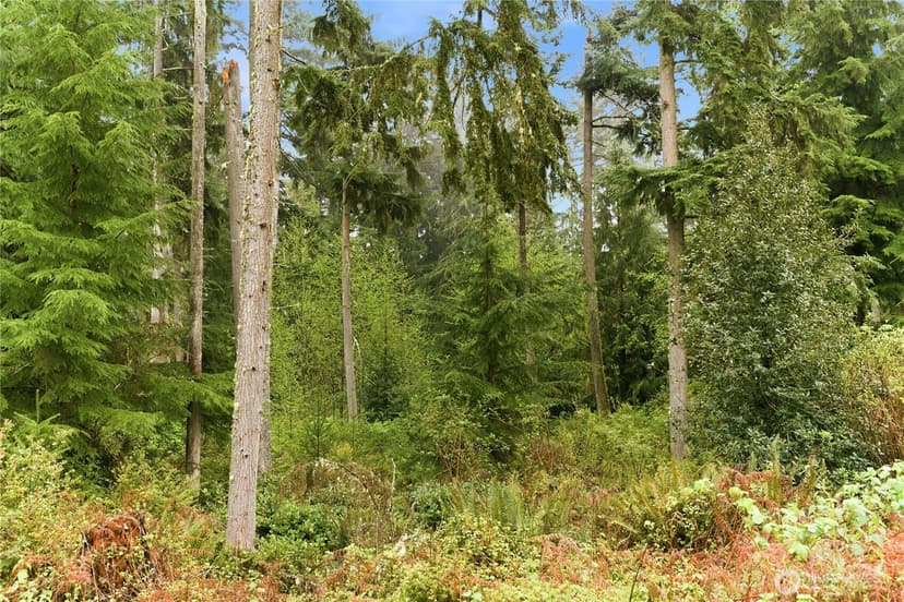 Property photo for 6557 Cultus Bay Road, Clinton photo 30