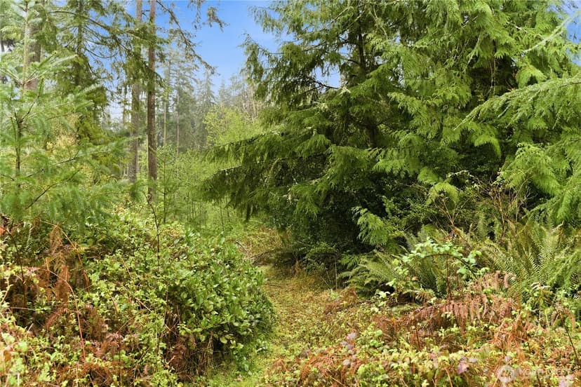 Property photo for 6557 Cultus Bay Road, Clinton photo 33