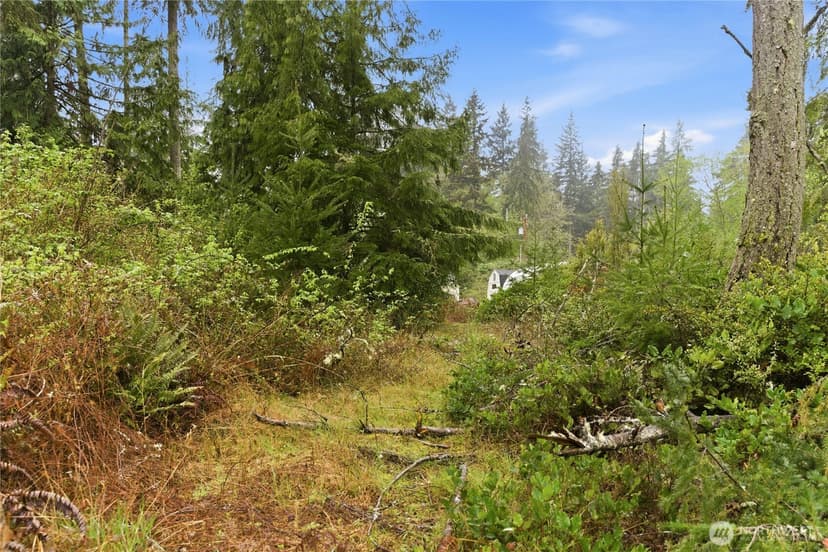 Property photo for 6557 Cultus Bay Road, Clinton photo 32