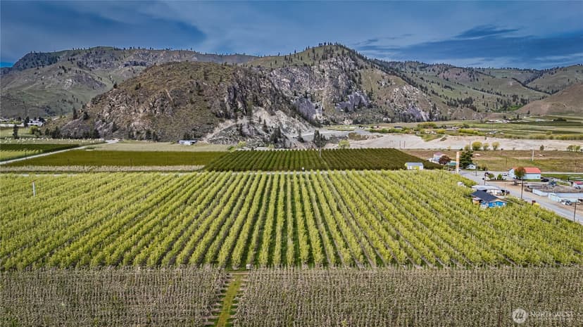 Property photo for 58 Substation Road, Chelan photo 7