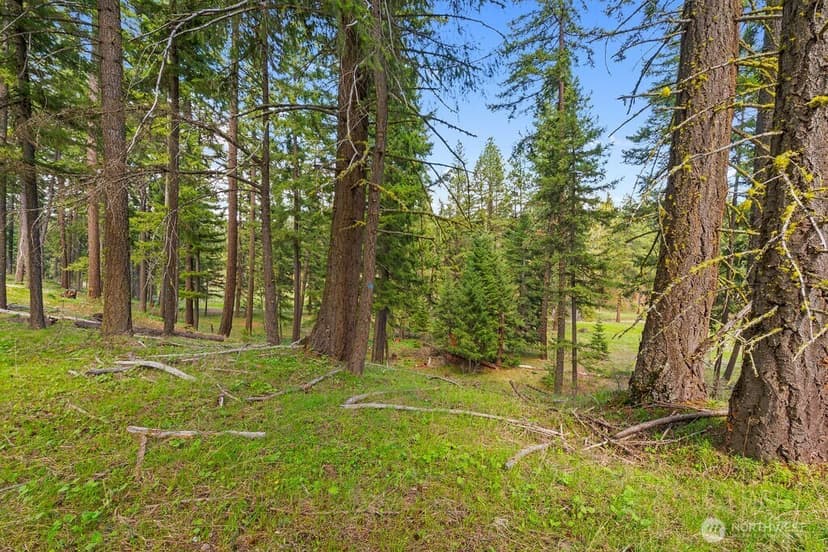 Property photo for 14 Rainbow Court, Cle Elum photo 8