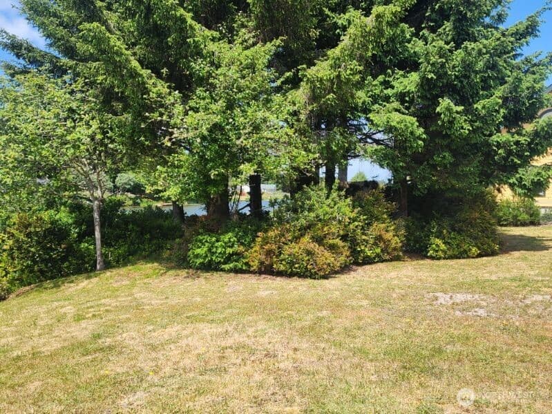 Property photo for 266 Overlake Street NE, Ocean Shores photo 24