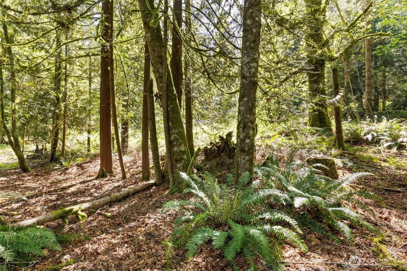Property photo for 7831 Phillips Road SE, Port Orchard photo 21