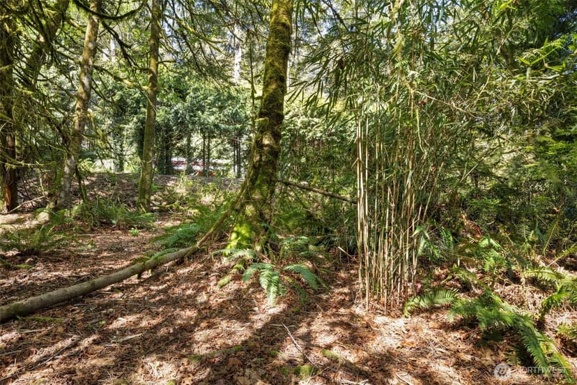 Property photo for 7831 Phillips Road SE, Port Orchard photo 22