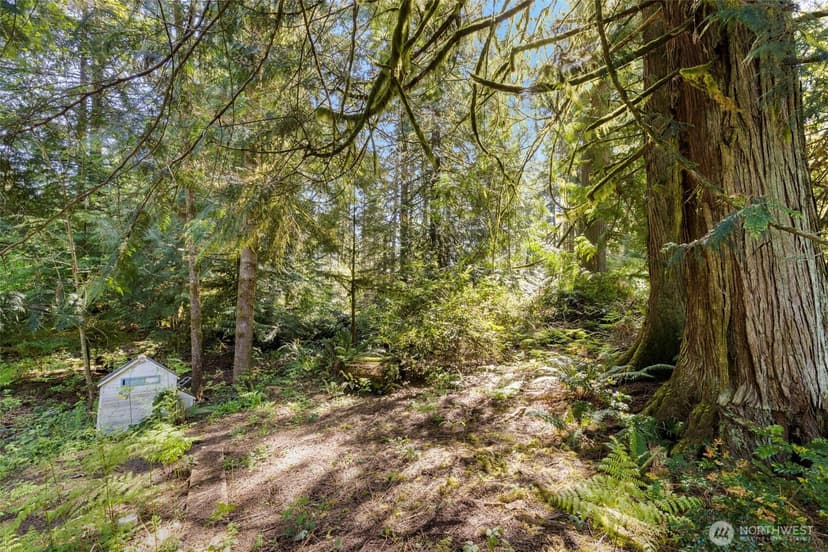 Property photo for 7831 Phillips Road SE, Port Orchard photo 20