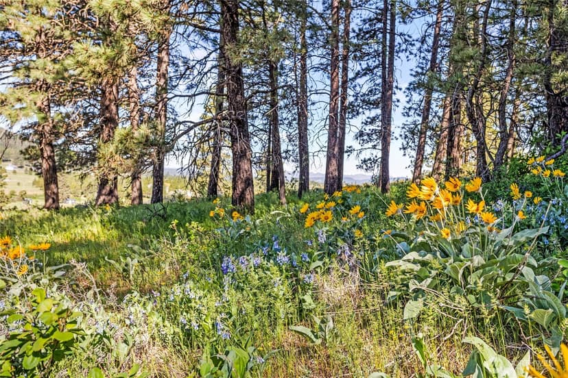 Property photo for 40 Cattle Drive, Cle Elum photo 40