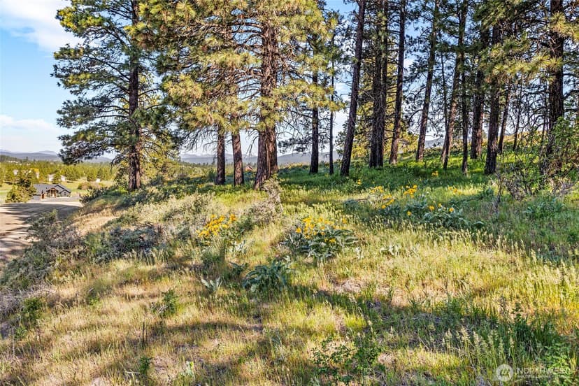 Property photo for 40 Cattle Drive, Cle Elum photo 39