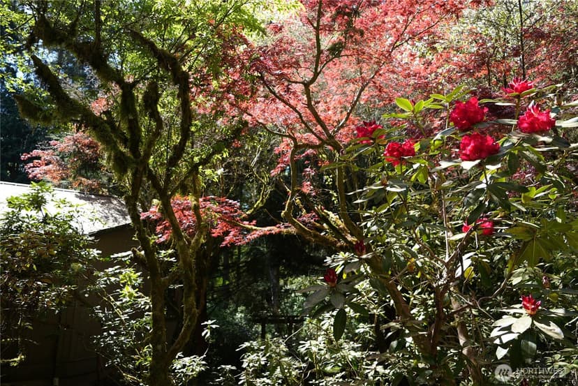 Property photo for 4050 Tree Frog Lane, Langley photo 9