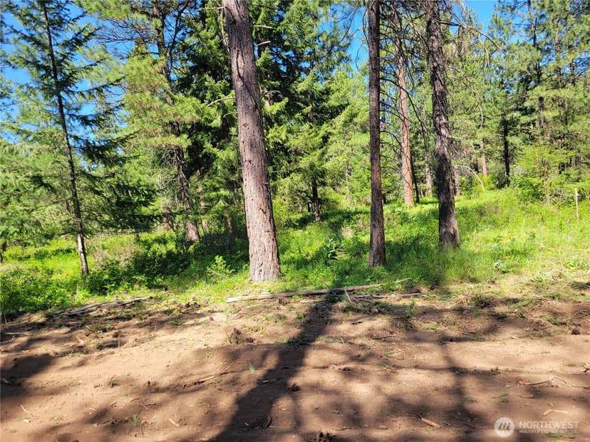 Property photo for 7 Summit View at Wallace Ranch, Cle Elum photo 11