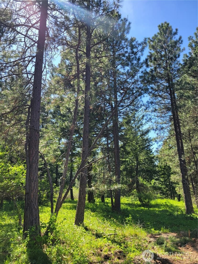 Property photo for 10 Summit View at Wallace Ranch, Cle Elum photo 9