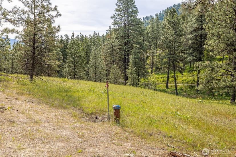 Property photo for 329 First Grade Road, Leavenworth photo 36