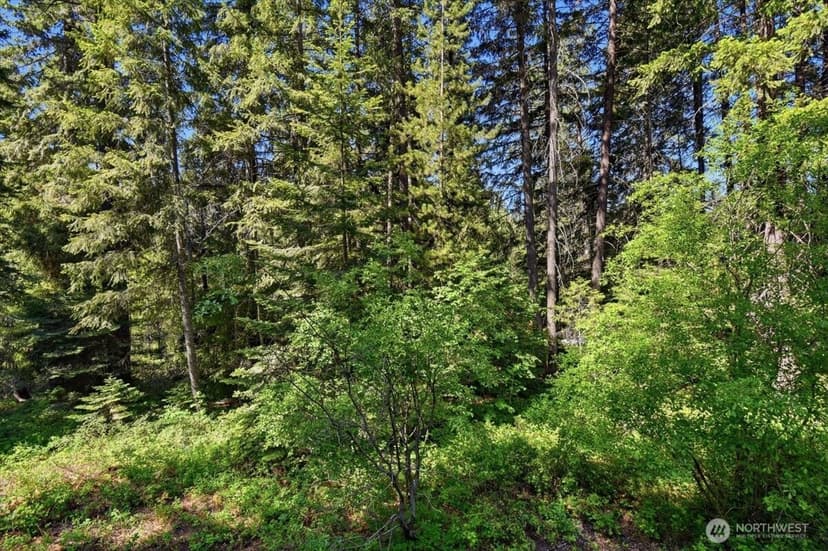 Property photo for 2486 Chiwawa Loop Road, Leavenworth photo 17