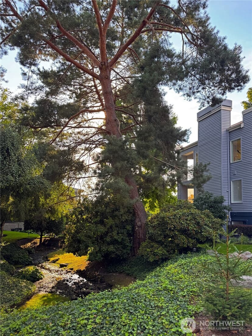 Property photo for 10834 NE 68th Street #B5, Kirkland photo 30