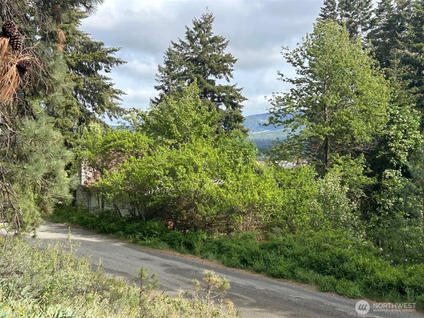 Property photo for 0 xxx W 6th Street, Cle Elum photo 6