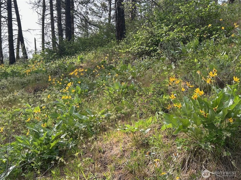 Property photo for 0 xxx W 6th Street, Cle Elum photo 4