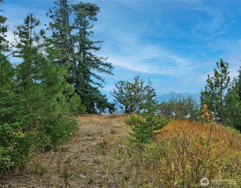 Property photo for 0 Lot 78 Skull Springs Road, Cle Elum photo 11