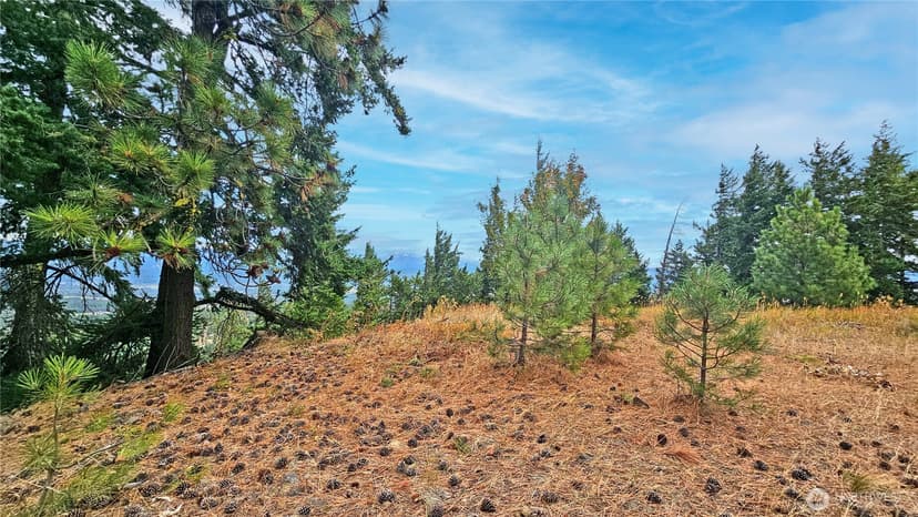 Property photo for 0 Lot 78 Skull Springs Road, Cle Elum photo 7