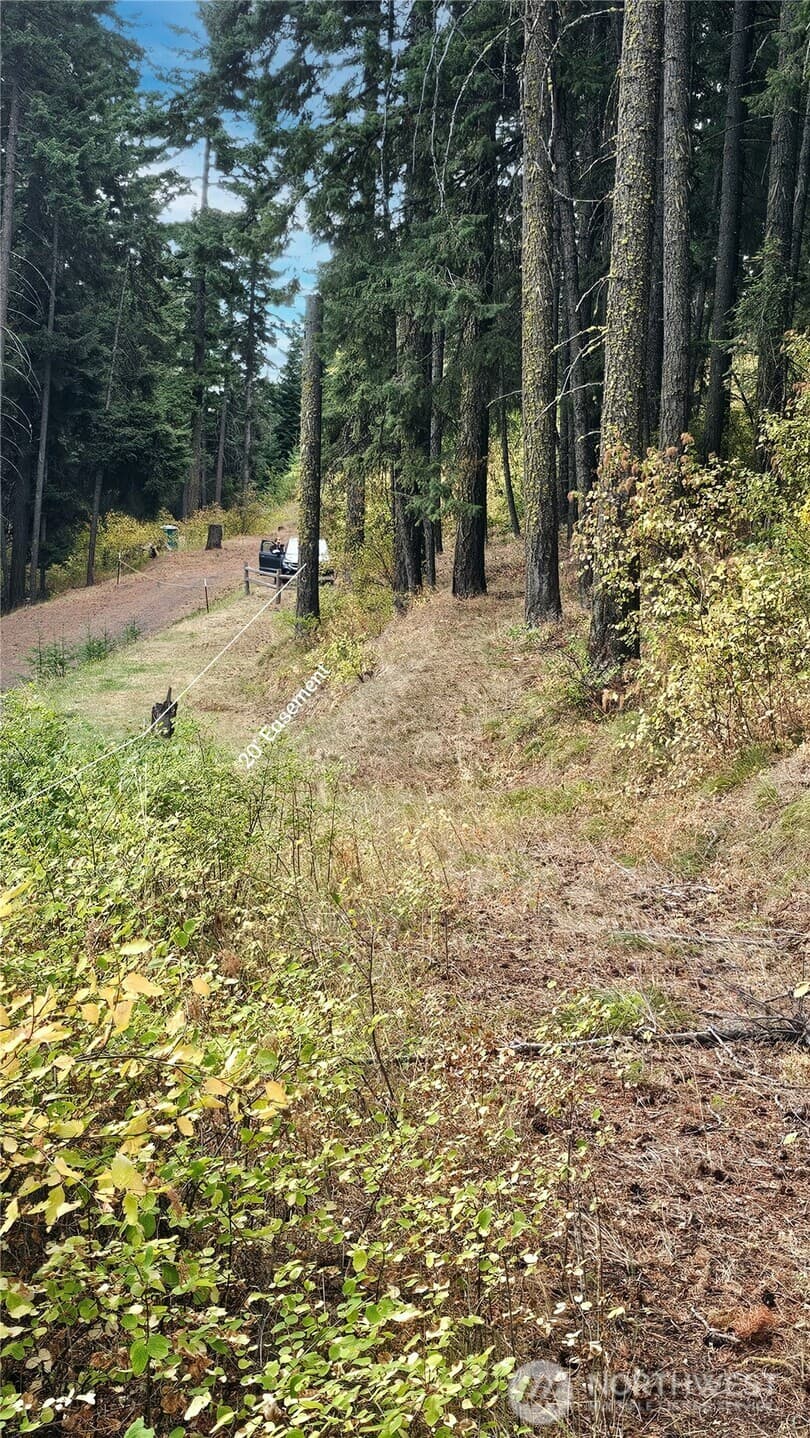 Property photo for 0 Lot 78 Skull Springs Road, Cle Elum photo 5