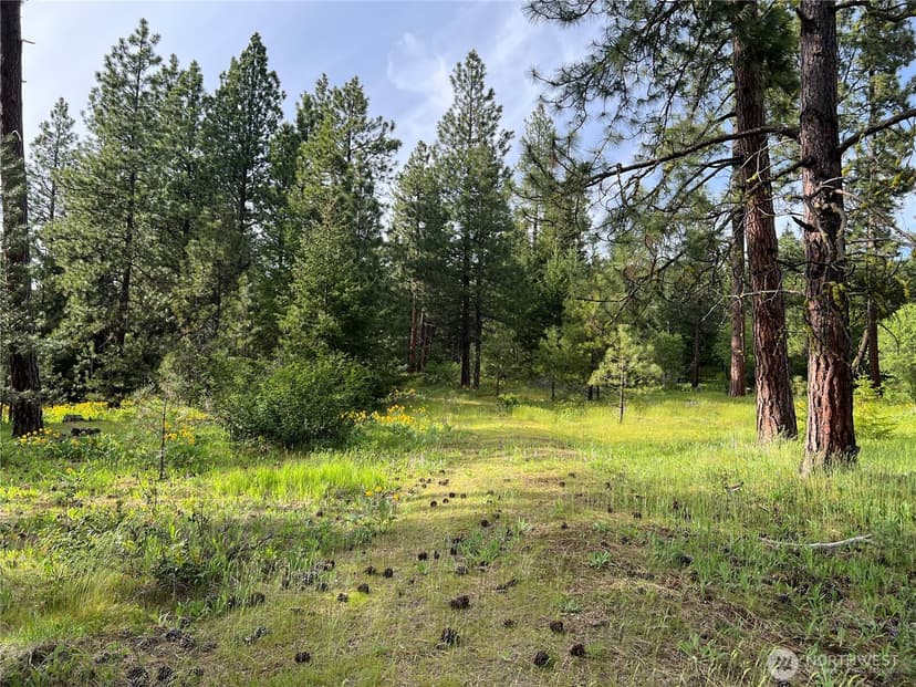 Property photo for 740 Sun Ridge Drive, Cle Elum photo 14