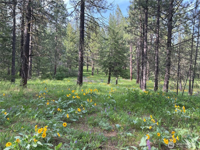 Property photo for 740 Sun Ridge Drive, Cle Elum photo 18
