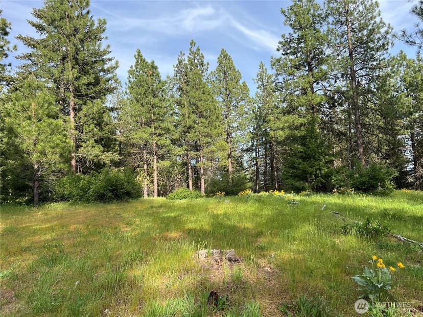 Property photo for 740 Sun Ridge Drive, Cle Elum photo 6