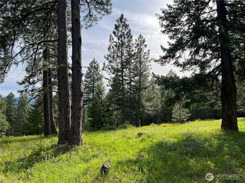 Property photo for 740 Sun Ridge Drive, Cle Elum photo 2