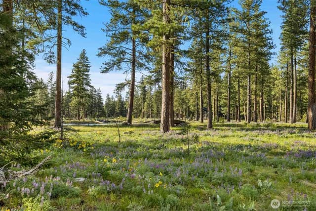 Property photo for 53 Wanawish Loop, Cle Elum photo 4
