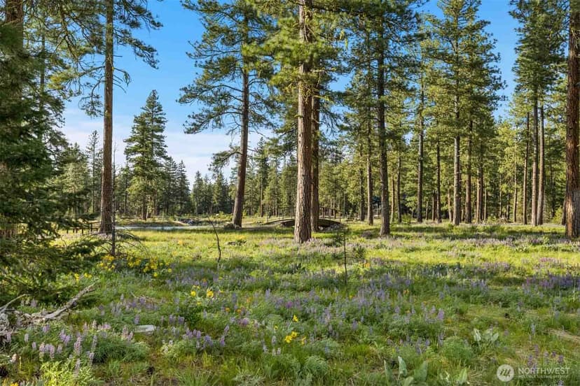 Property photo for 53 Wanawish Loop, Cle Elum photo 4