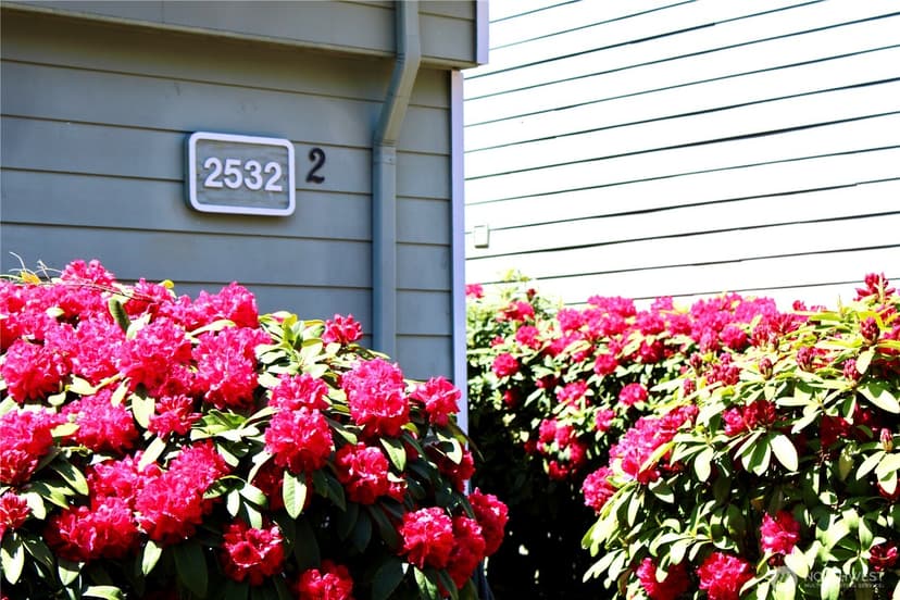 Property photo for 2532 S 317th Street #107, Federal Way photo 39