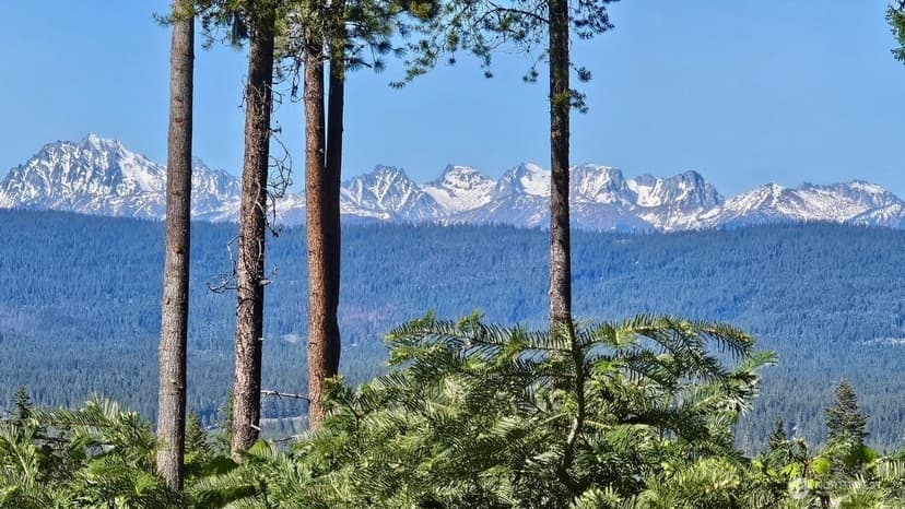 Property photo for 636 Trailside Drive, Cle Elum photo 3